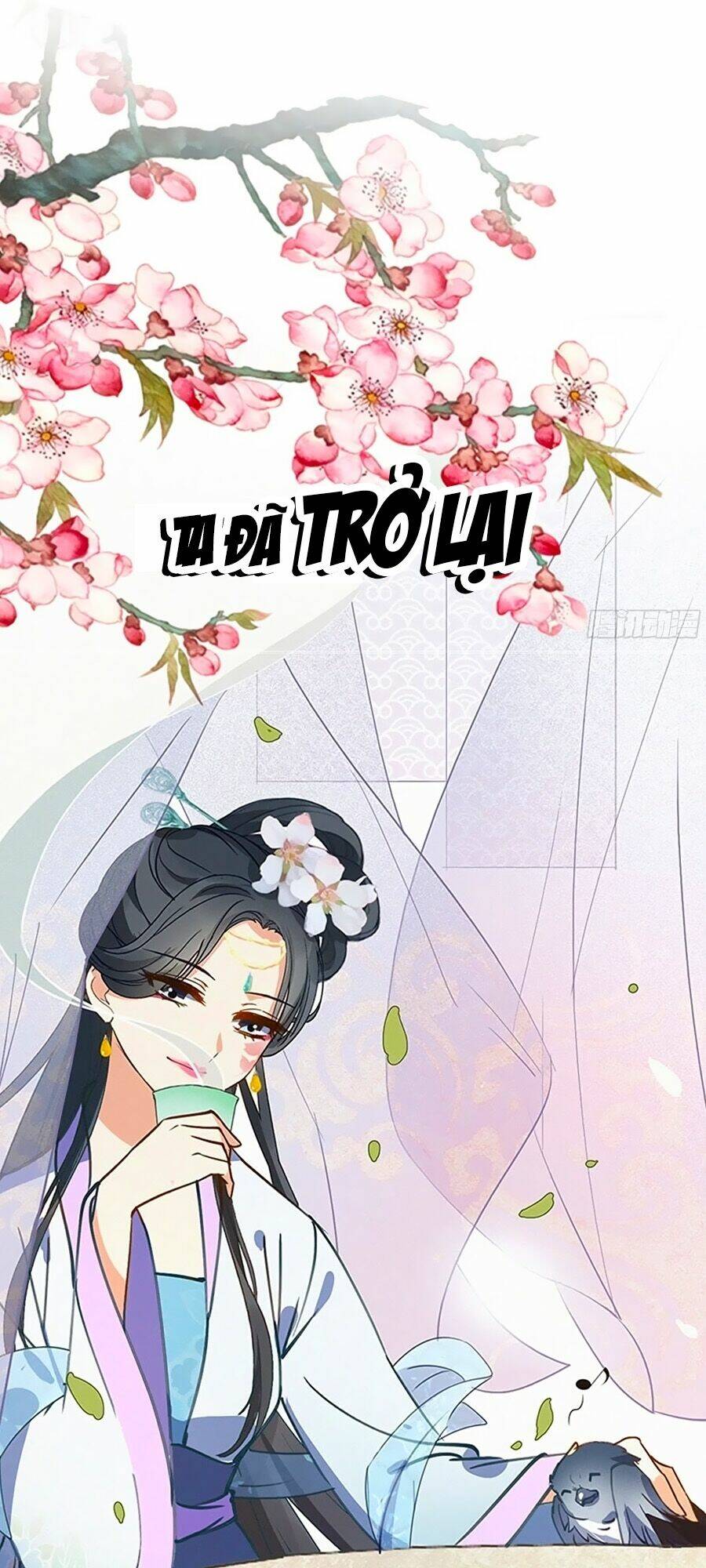 Ngự Thú Linh Phi: Chapter 0