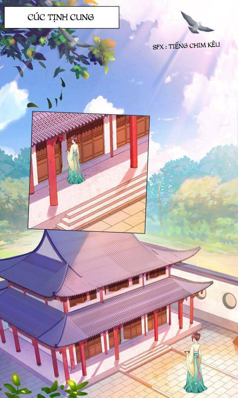 Trùng Sinh Phỉ Thuý: Chapter 1