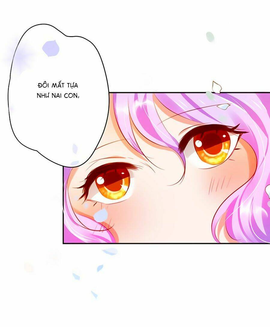 Bạn Trai Là Ngôi Sao: Chapter 29