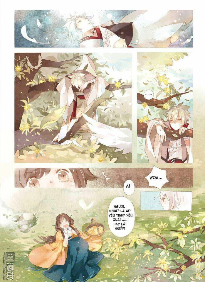 Kim Quế Hoa Cao: Chapter 1