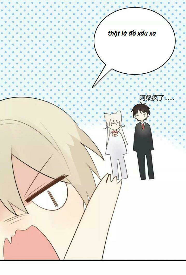 Thú Sủng Của Tôi Bị Mất Trí Rồi: Chapter 48