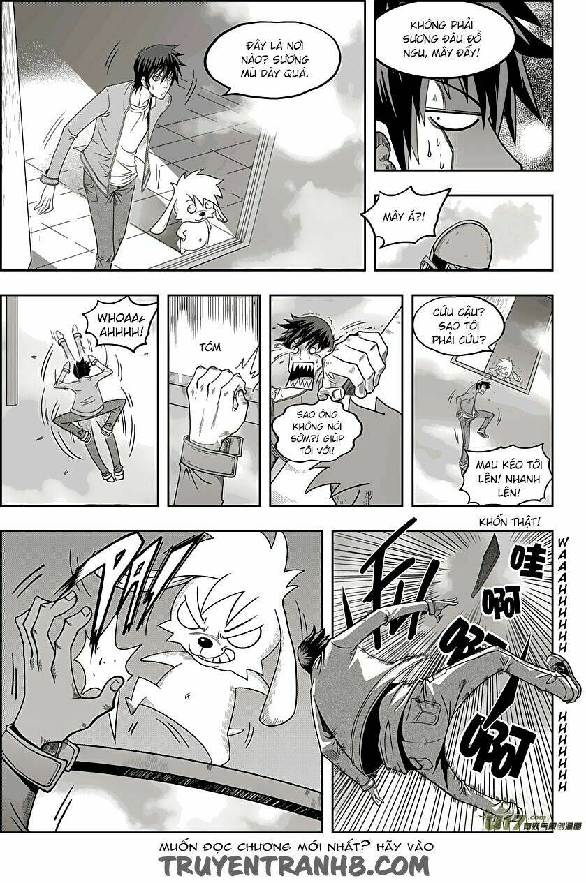 Macrophage Regulation: Chapter 8