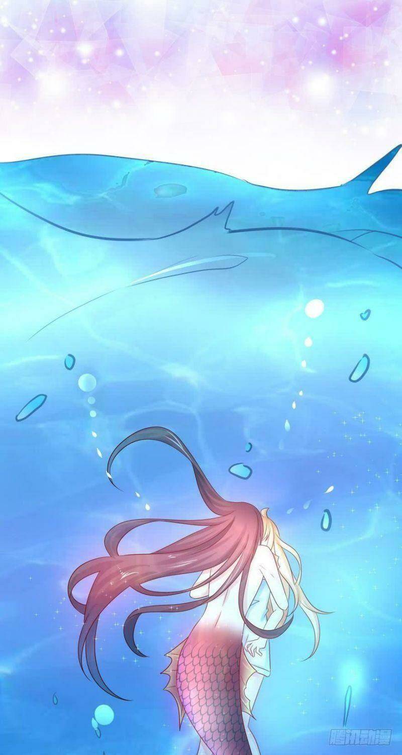 Nhân Ngư Học Trưởng, Đừng Ôm Ta!: Chapter 60