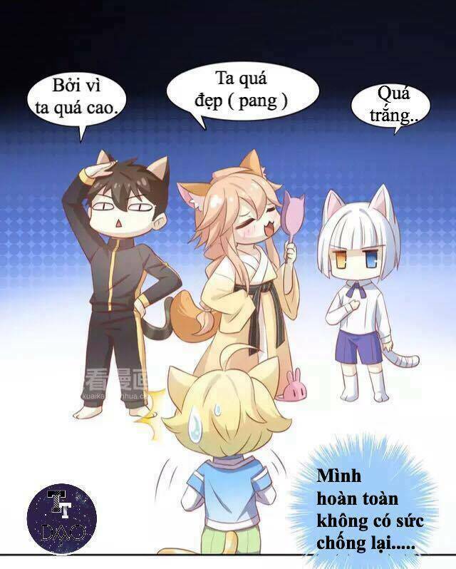 Dưới Móng Vuốt Mèo: Chapter 13