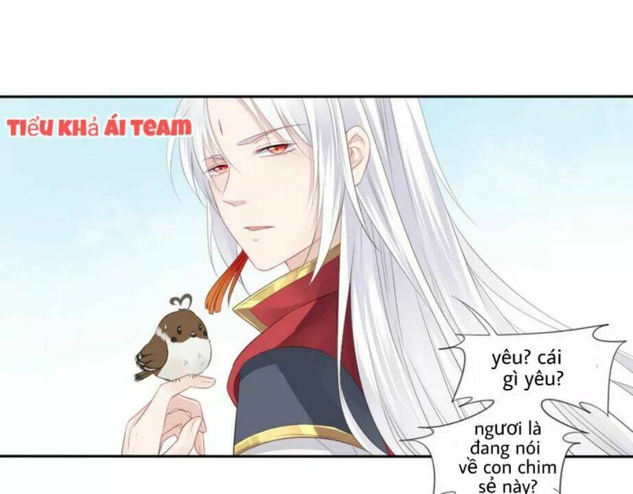 Tước Kiều Tiên: Chapter 2.2