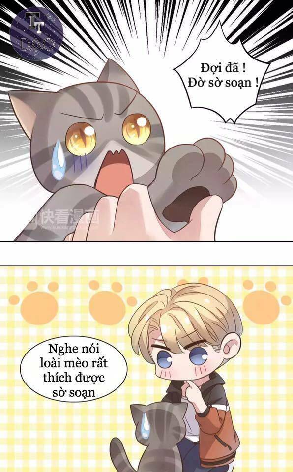 Dưới Móng Vuốt Mèo: Chapter 19