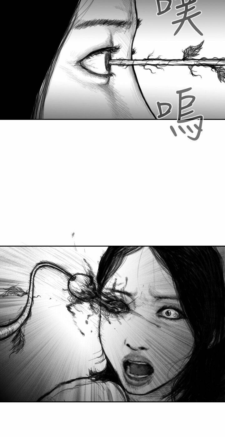 Hạt Giống Mỹ Nhân: Chapter 24