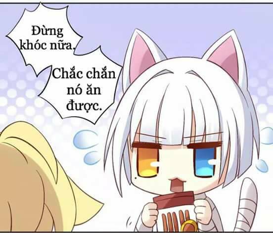 Dưới Móng Vuốt Mèo: Chapter 6
