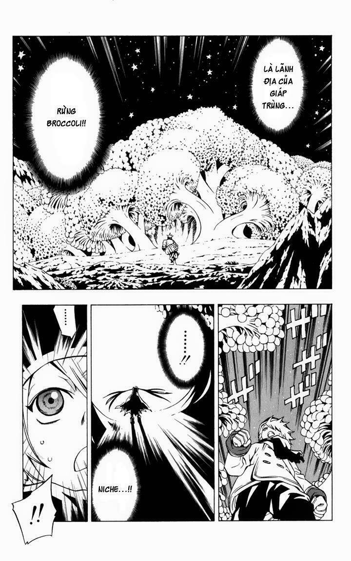 Ong Đưa Thư: Chapter 2.2