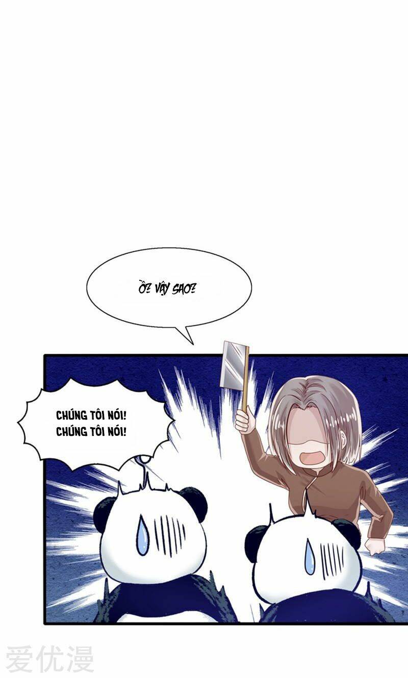 Tôi Bị Gấu Trúc Nhìn Trúng Rồi: Chapter 15