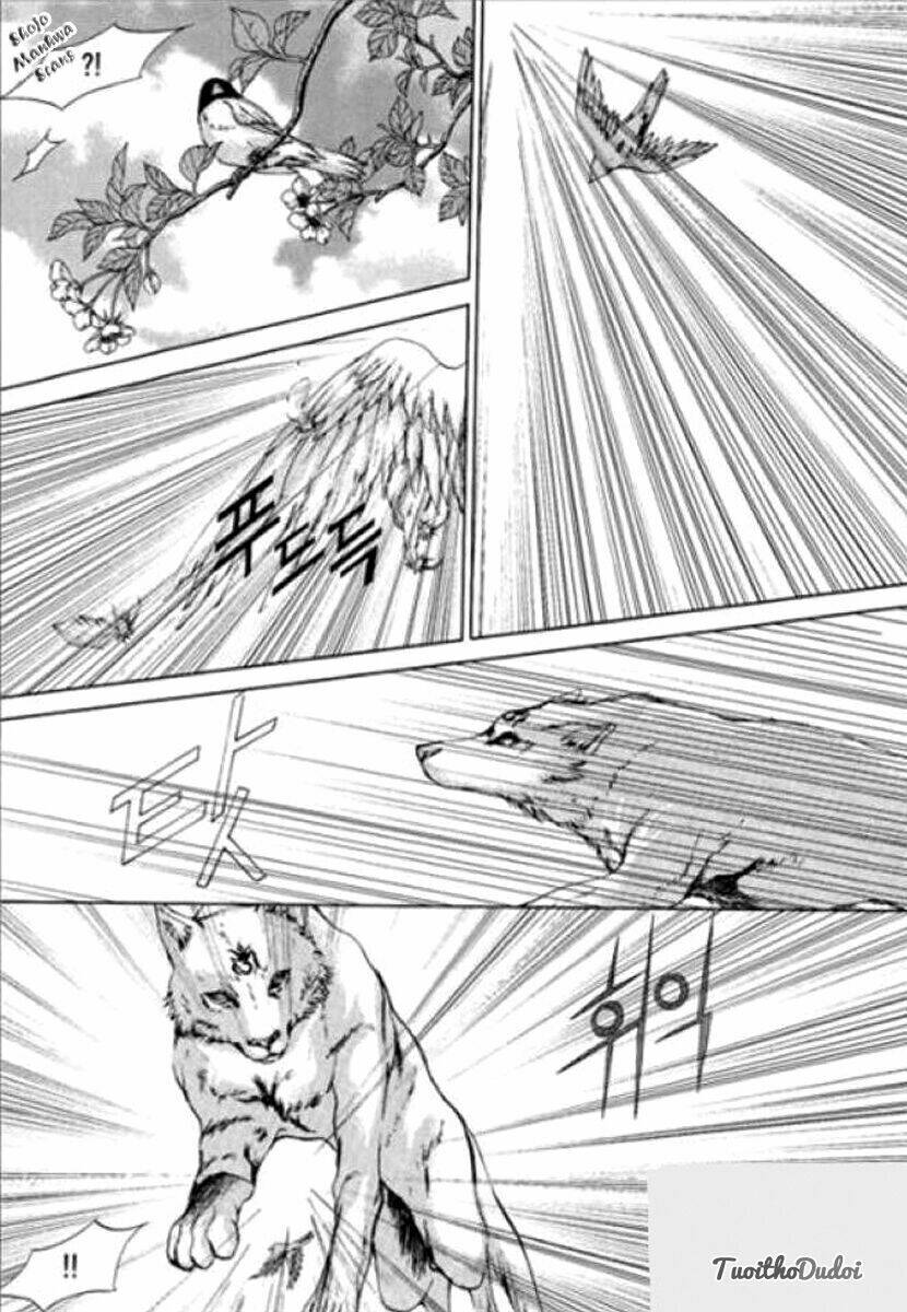 Tân Nương Của Thủy Thần: Chapter 122