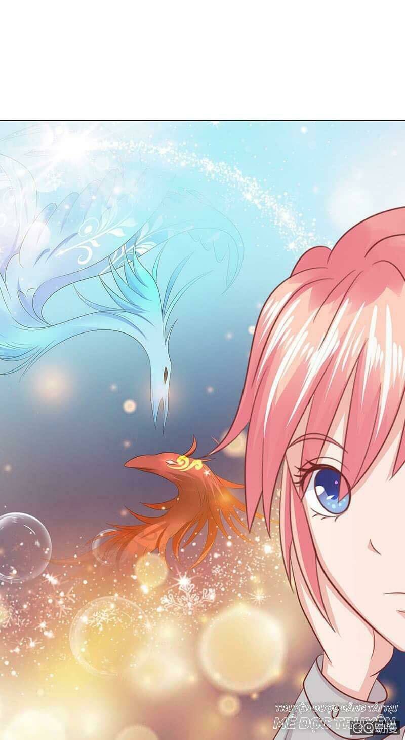 Băng Sơn Học Trưởng Không Được Chọc: Chapter 53.1