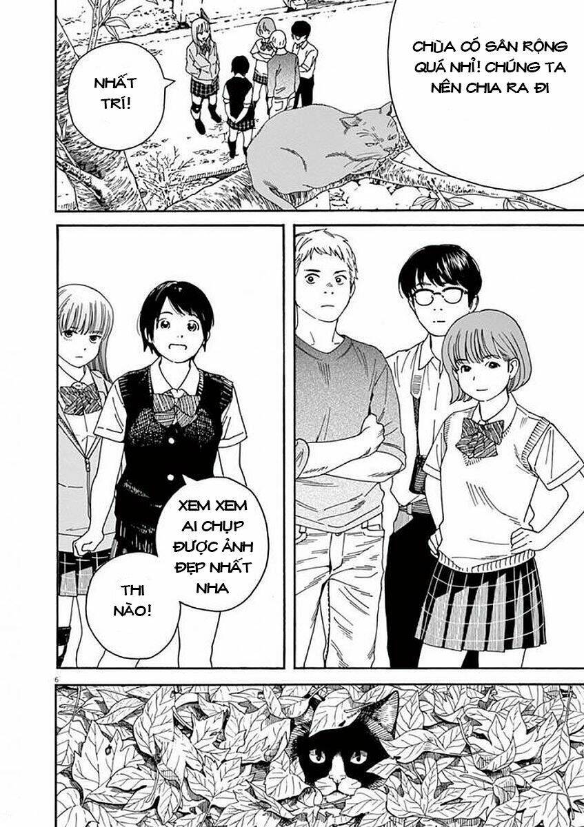 Neko No Otera No Chion-San: Chapter 49