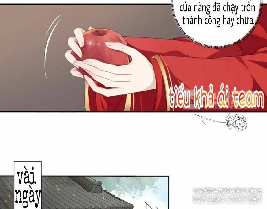 Tước Kiều Tiên: Chapter 1.1