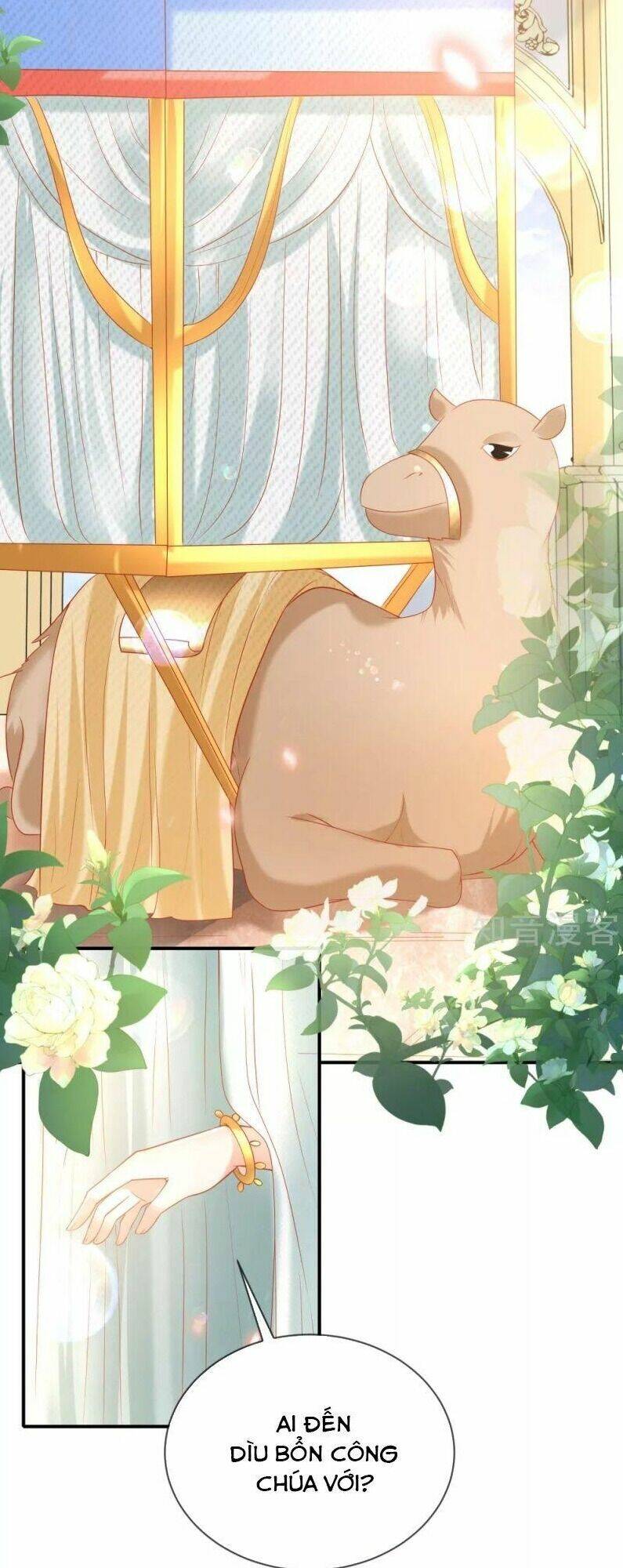 Sủng Hậu Của Vương: Chapter 61
