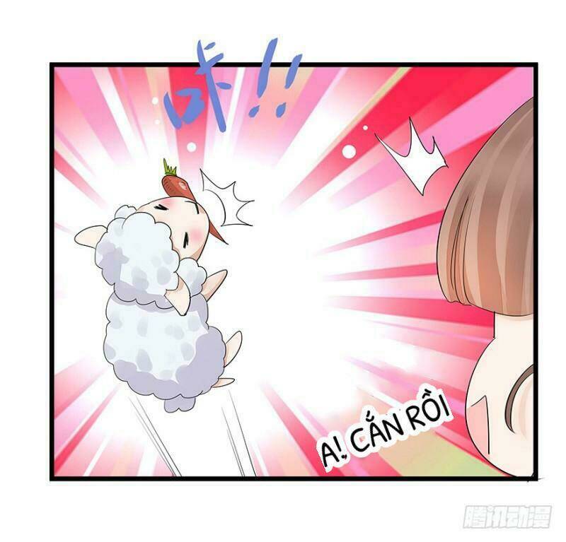 Chào Buổi Sáng, Ức Vạn Manh Thê: Chapter 5