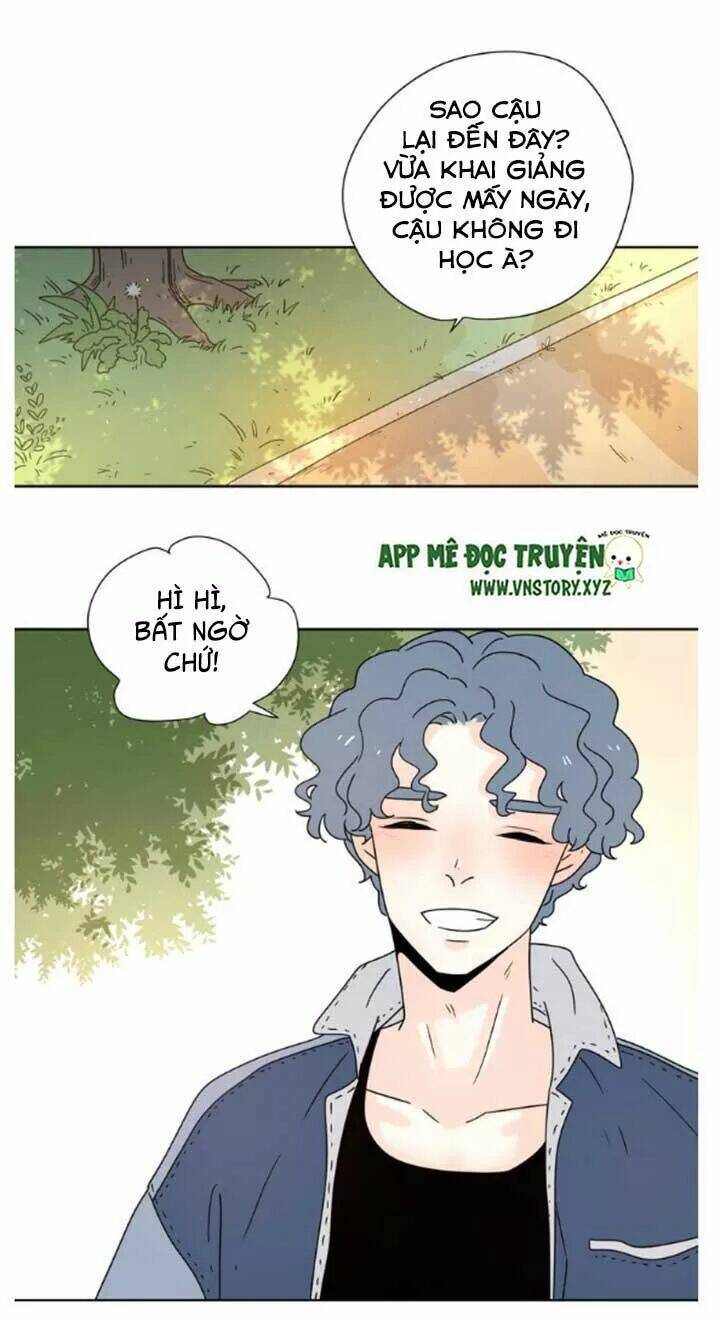 Cạm Bẫy Ngọt Ngào: Chapter 51