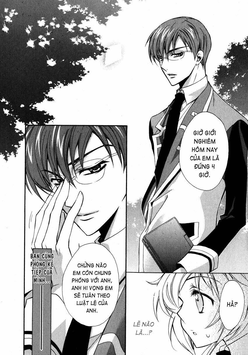 S.L.H (Stray Love Hearts): Chapter 5