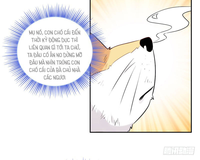 Lụ Đạn, Hôm Nay Lại Cũng Không Thể Biến Thành Người Được: Chapter 3