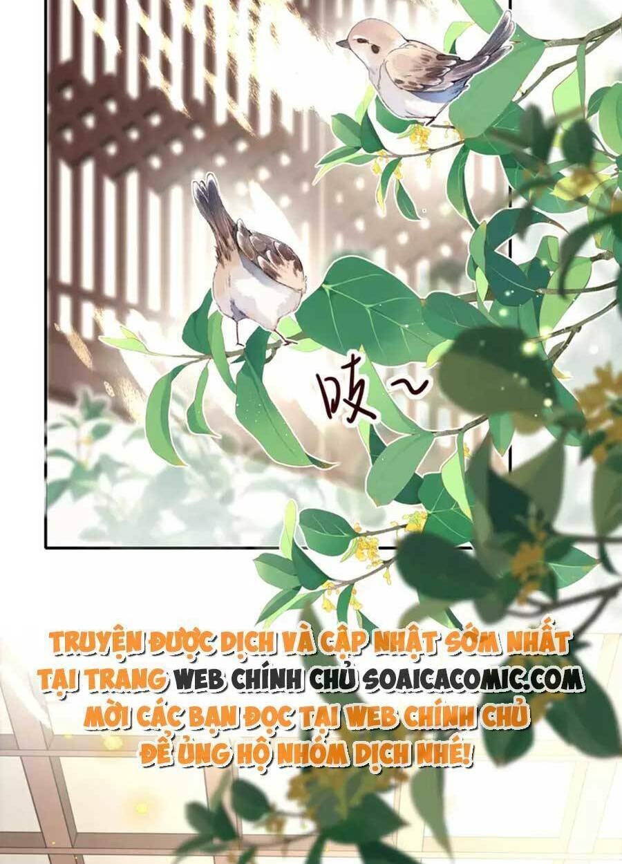 Tướng Quân, Bổn Phi Không Nhận Sủng: Chapter 37