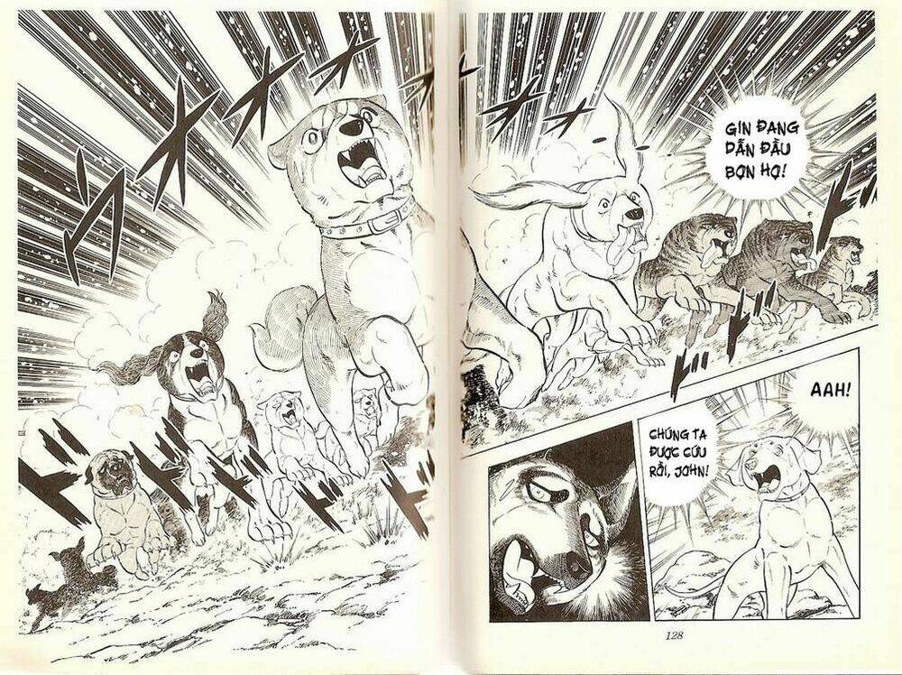 Chú Chó Có Nghĩa - Ginga Nagareboshi Gin: Chapter 20