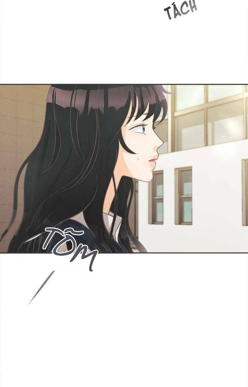 Giấc Mộng Đêm Hè: Chapter 6