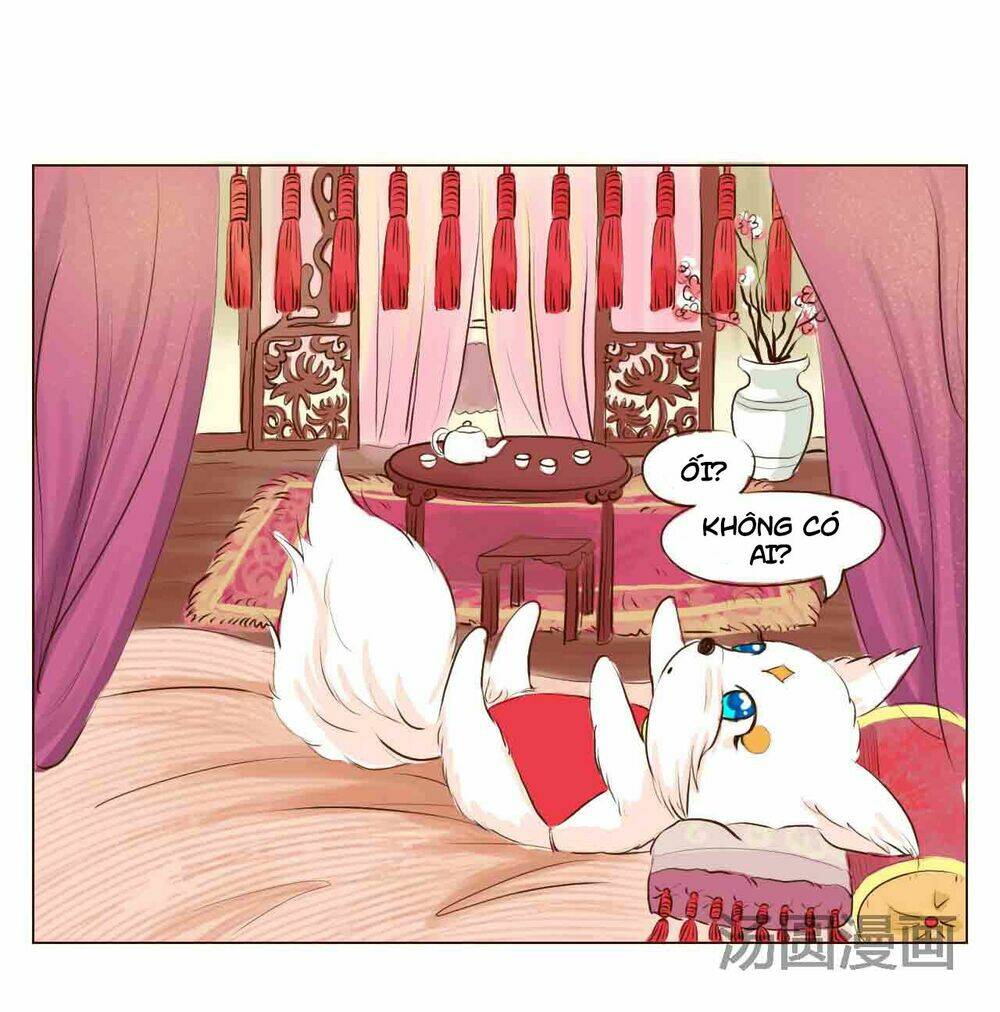 Mẫu Phi Đuôi Của Người Lộ Ra Rồi Kìa: Chapter 4