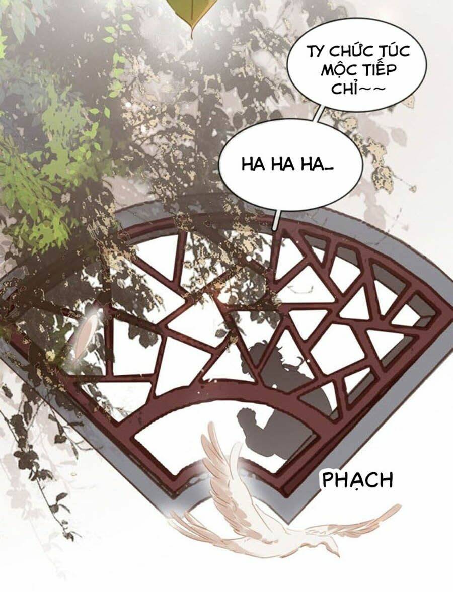 Tiểu Sư Phụ, Tóc Giả Của Ngài Rơi Rồi!: Chapter 34