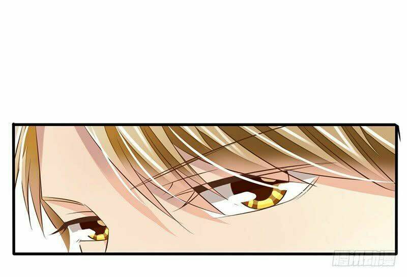 Hôn Bất Do Kỷ: Chapter 1