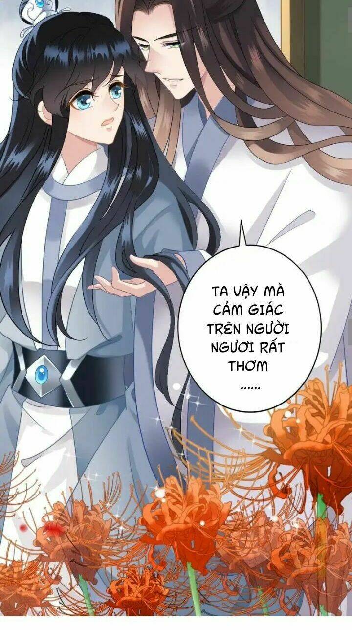 Thái Tử Điện Hạ Có Tin Vui: Chapter 11