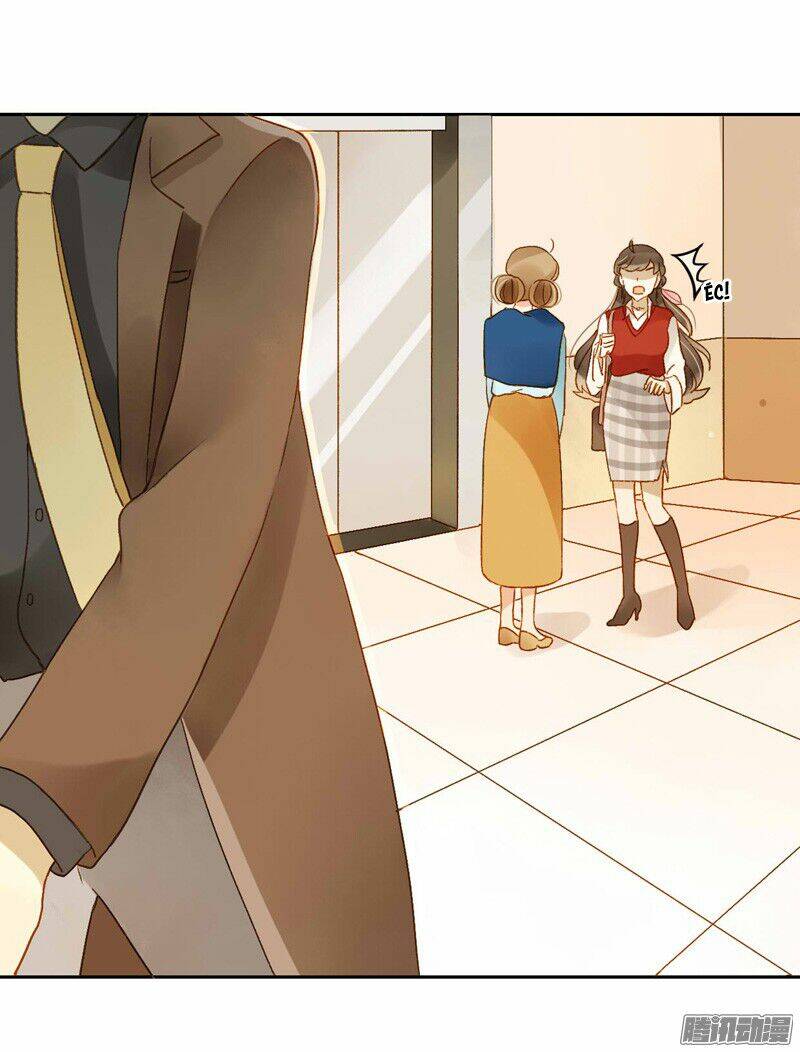 Sức Mạnh Của Sắc Đẹp: Chapter 113