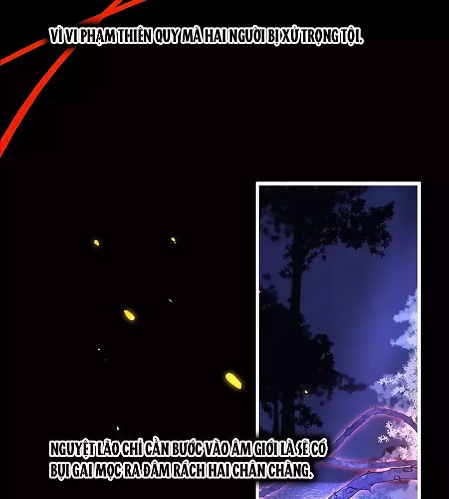 Hoa Chưa Nở Rộ: Chapter 20