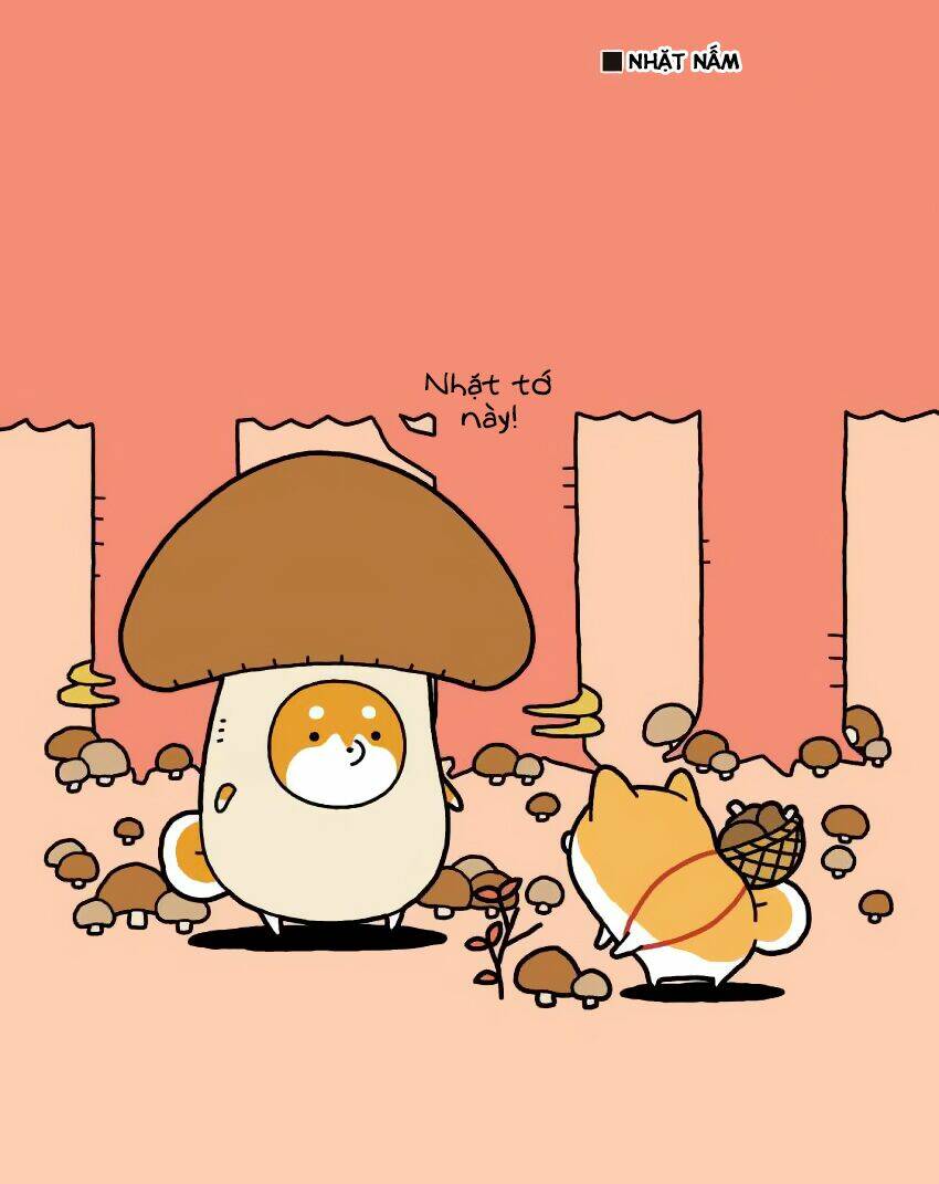 Taru Shiba: Chapter 6