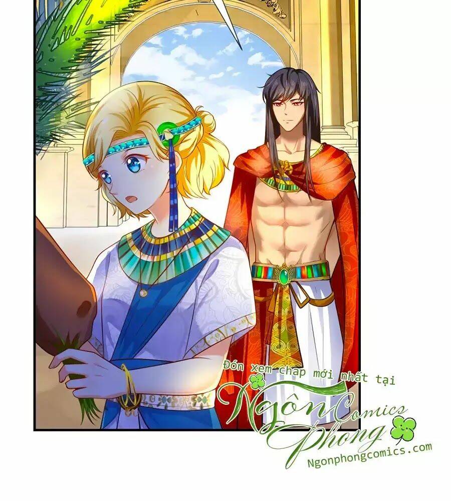 Sủng Hậu Của Vương: Chapter 3