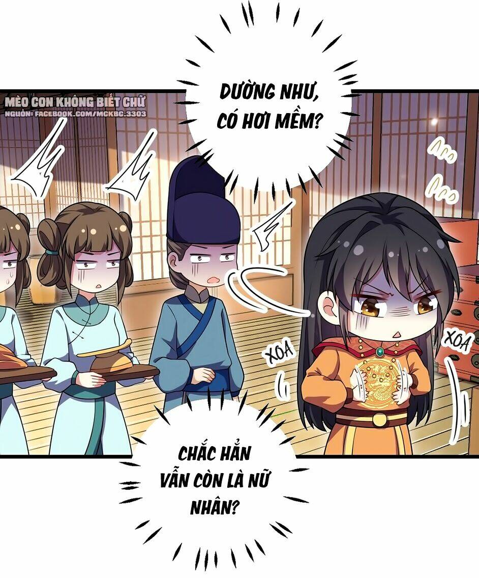 Báo Cáo! Đế Quân Ngài Có Độc!: Chapter 5