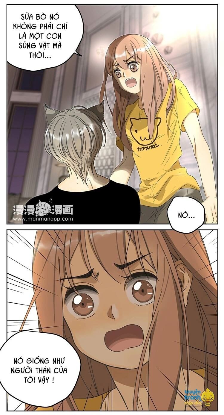 Cứu mạng ! Loài mèo thống trị thế giới rồi !: Chapter 11