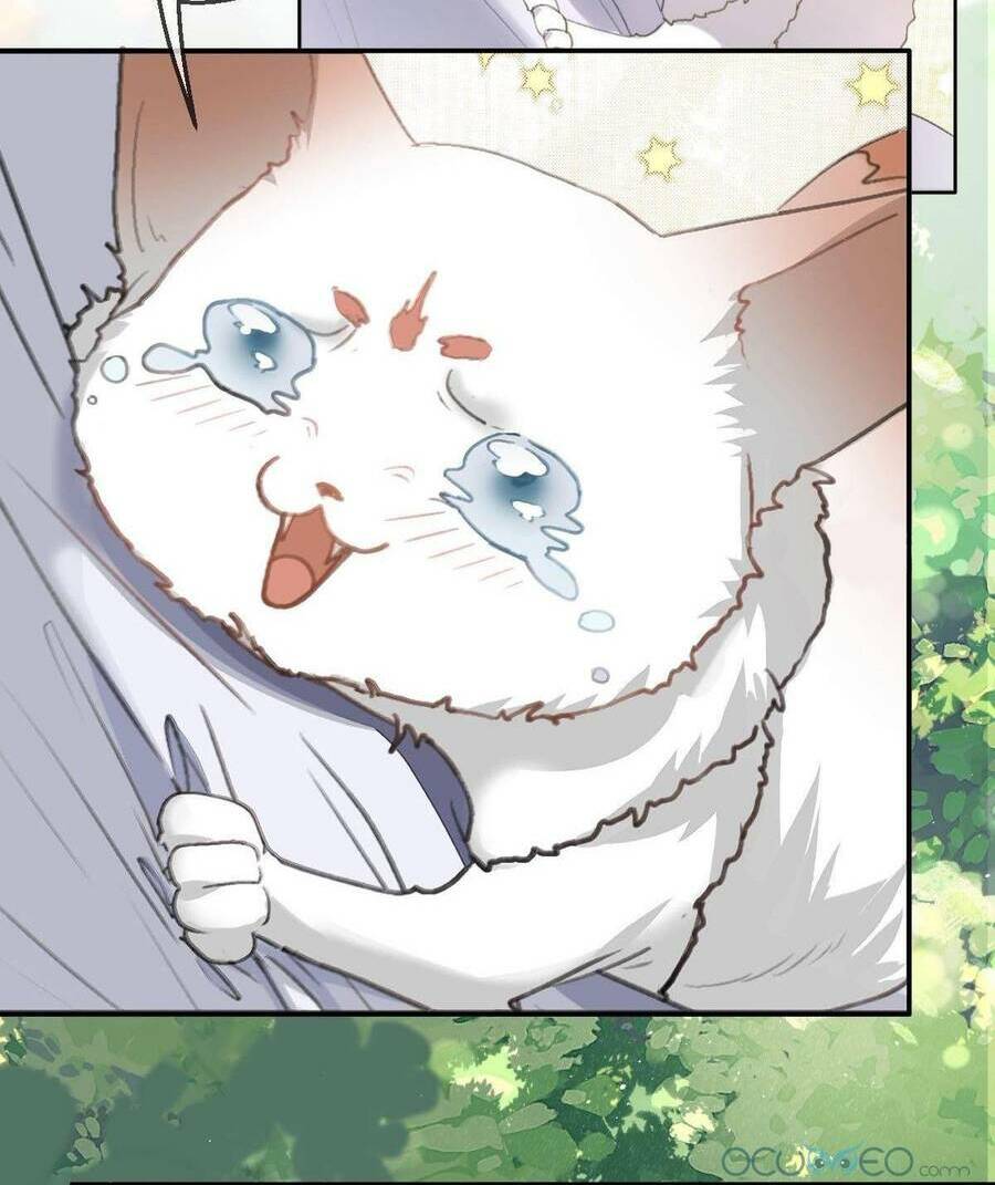 Nguyệt Trụy Trọng Minh: Chapter 0