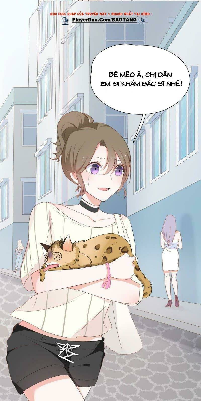 Thập Nhị Hắc Miêu: Chapter 1