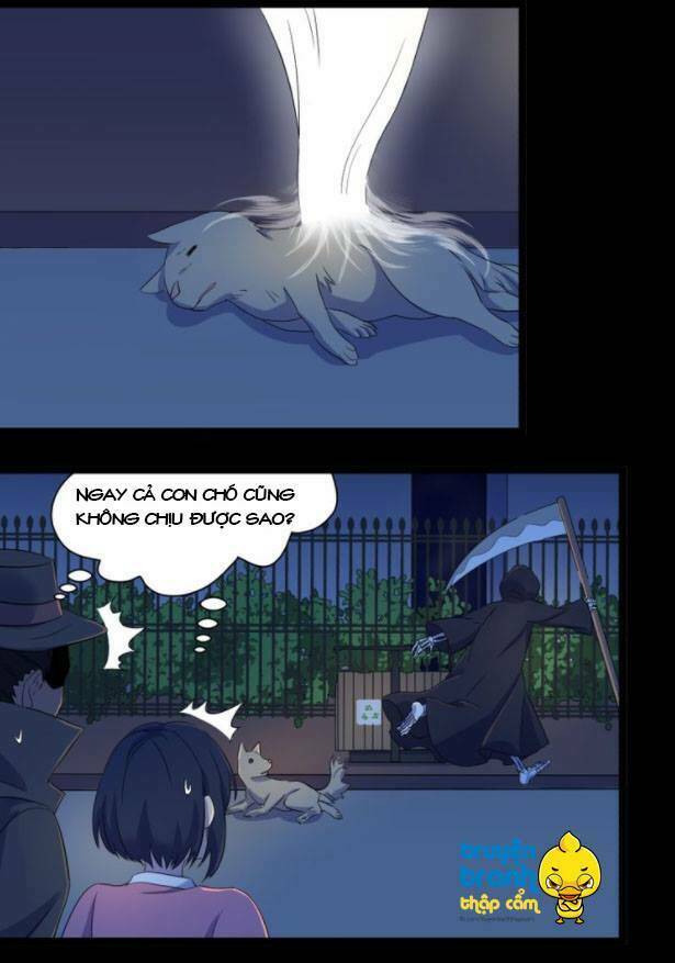 Diêm Vương Sợ Ma: Chapter 13.5