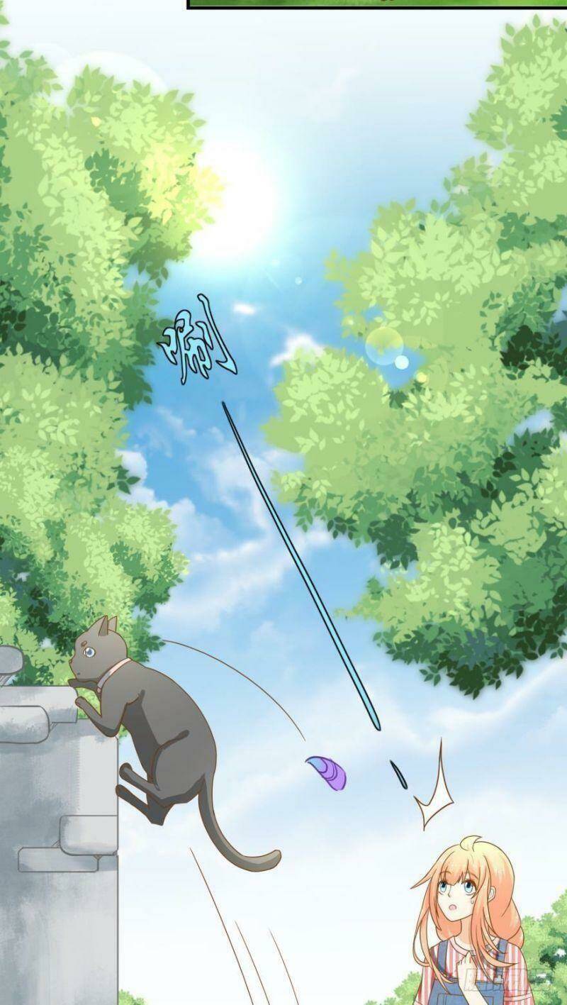 Nhân Ngư Học Trưởng, Đừng Ôm Ta!: Chapter 63