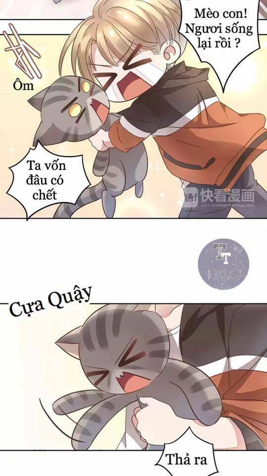 Dưới Móng Vuốt Mèo: Chapter 19