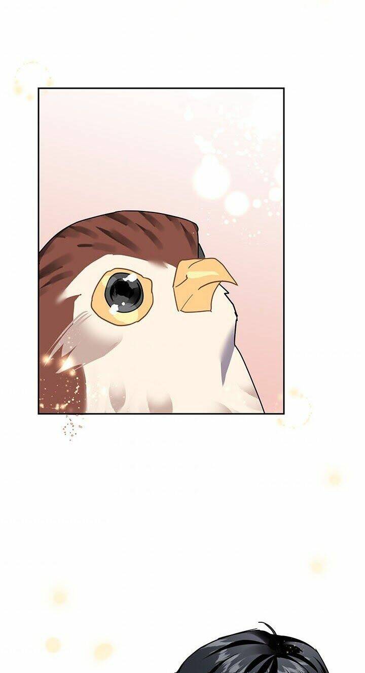 Công Chúa Của Loài Chim: Chapter 13