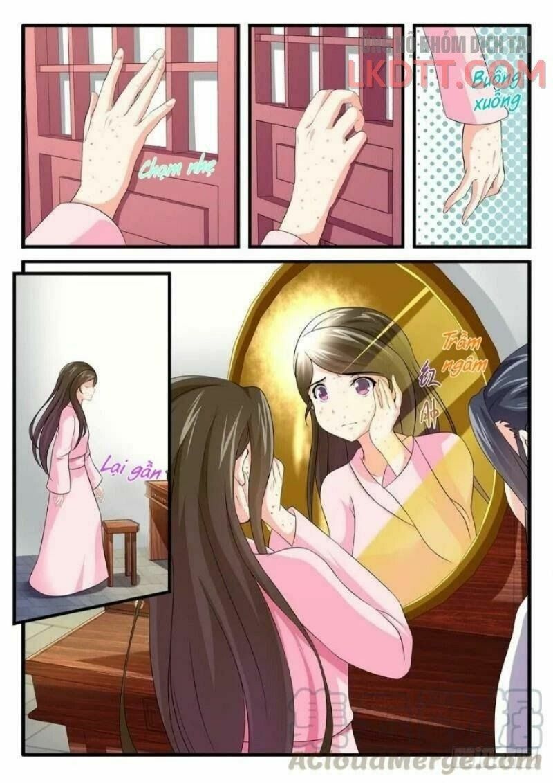Y Nữ Khuynh Thành - Thịnh Sủng Vương Phi: Chapter 52
