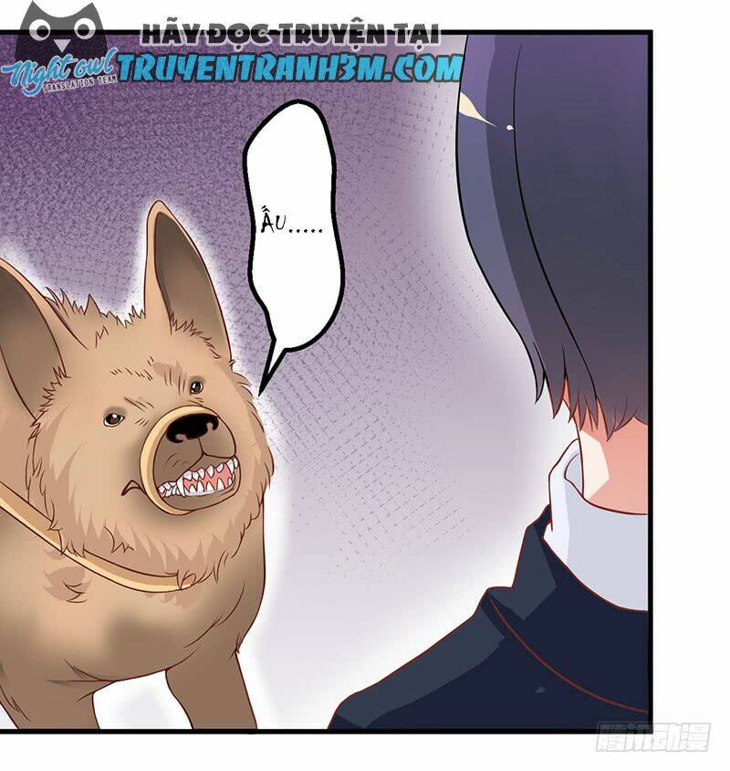 Trên Gối Của Chủ Tịch Ác Ma: Chapter 16