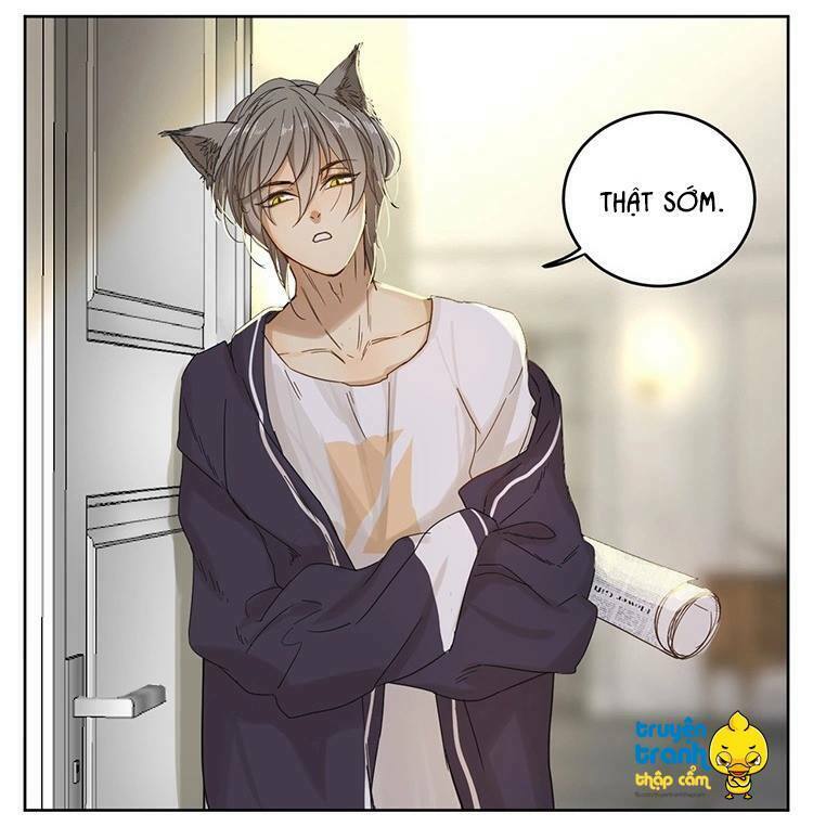 Cứu mạng ! Loài mèo thống trị thế giới rồi !: Chapter 12
