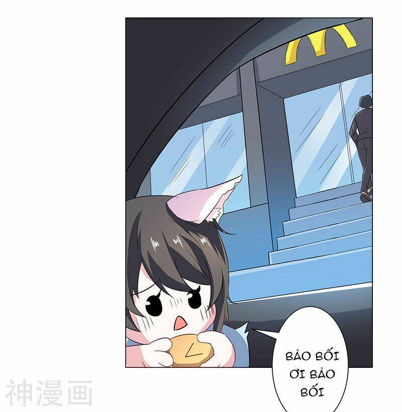 Quy Luật Năm Bản Mệnh Của Hồ Ly: Chapter 5