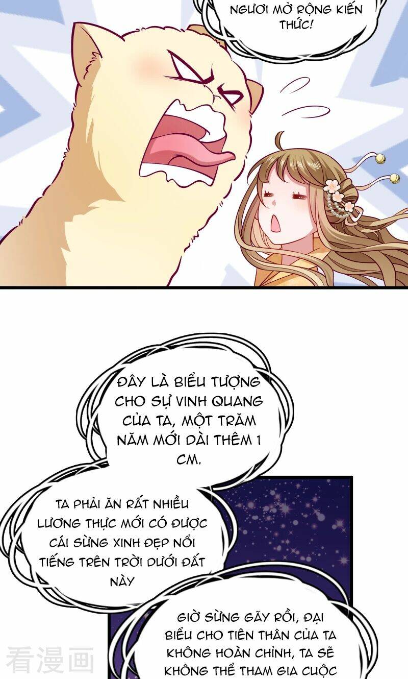 Tiểu Hoàng Thư Và Tiểu Hoàng Thúc: Chapter 34