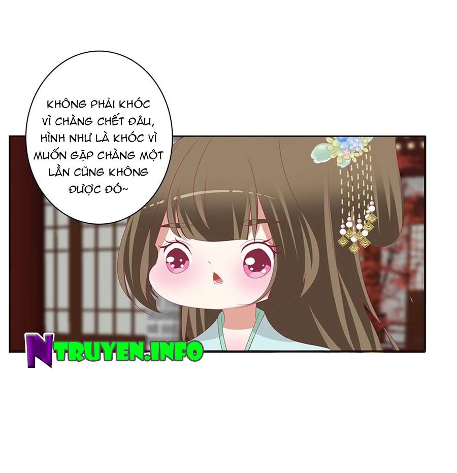 Thông Linh Phi: Chapter 608