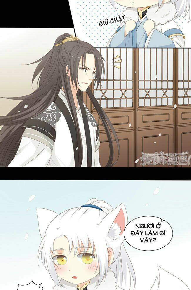 Quy Tự Dao: Chapter 41