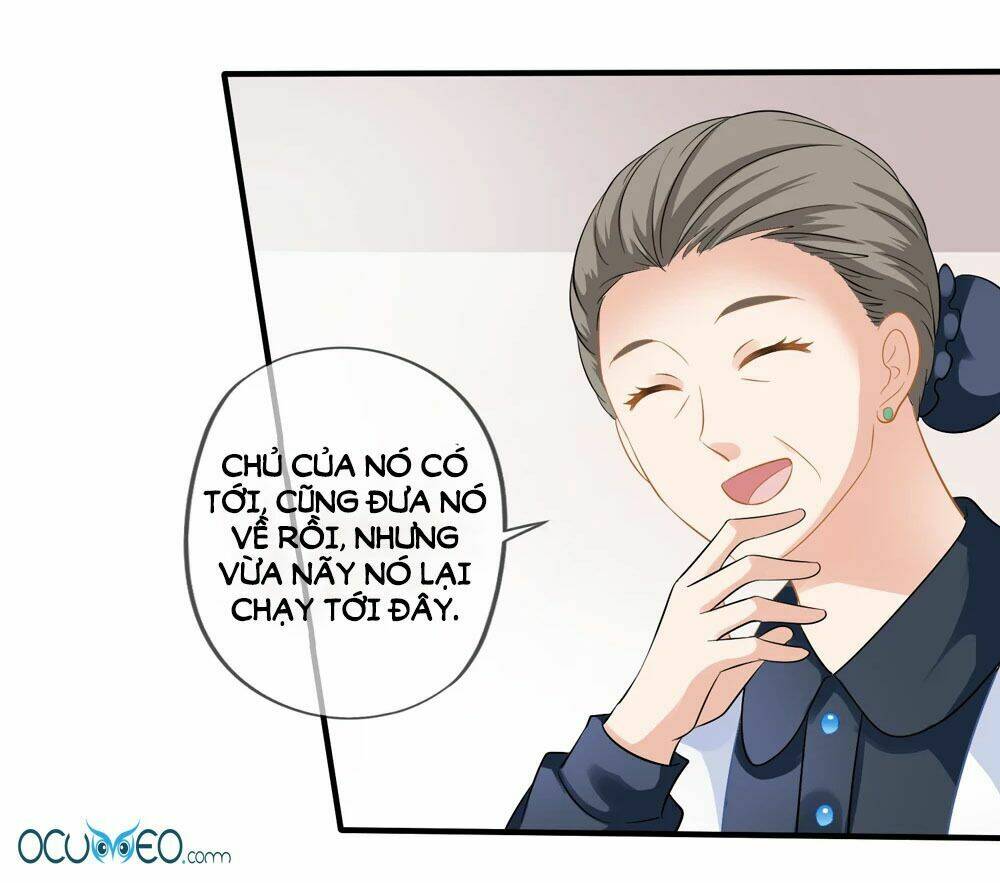 Mỹ Vị Giai Thê: Chapter 16